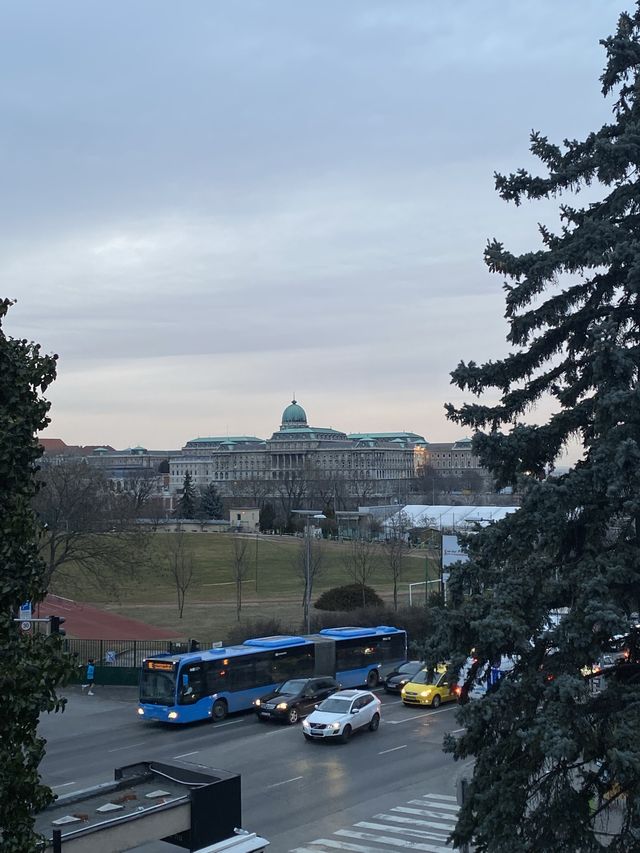 Get the ✨best✨ view to the Buda Castle