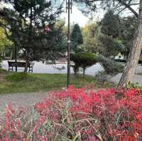 秋のクルッカレへの旅 アタテュルク公園