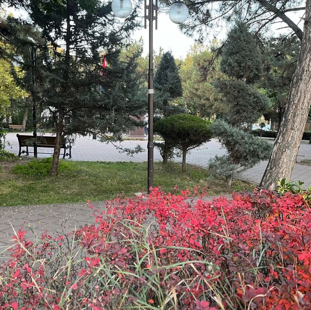 秋のクルッカレへの旅 アタテュルク公園
