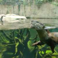 Shanghai zoo