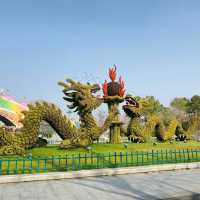 Xuanwu Lake In Spring Time