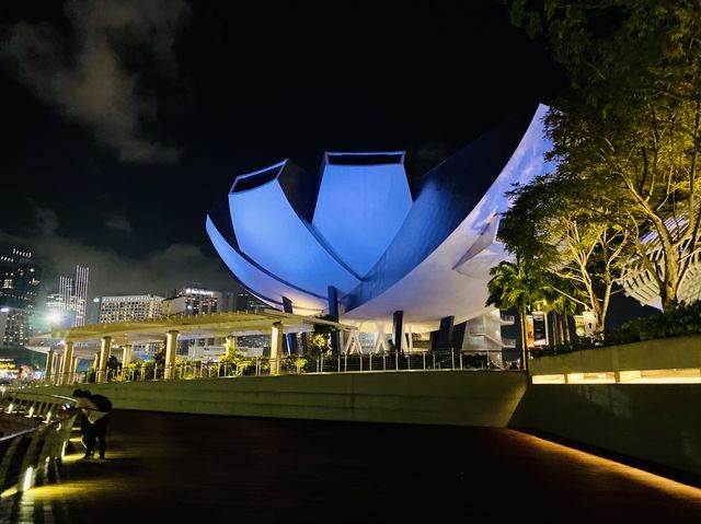 Light it up Singapore! Oh so colorful!