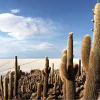 driving on the world’s largest salt flat