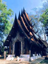 Chiang Rai Black Temple, also known as the Black House Museum.