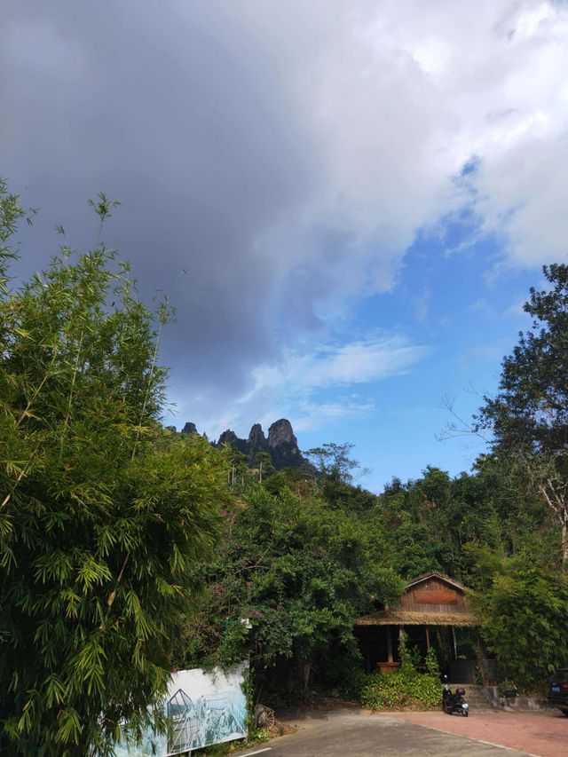 Qixian Ridge 🌳, 45 minutes north of Sanya, chill in the mountains like immortals for a day 🏵️.