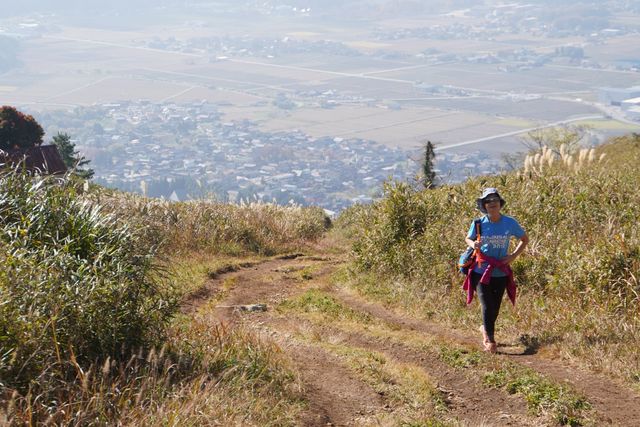 Japan free travel, hike up Mount Ibuki, autumn leaves and miscanthus are equally beautiful.