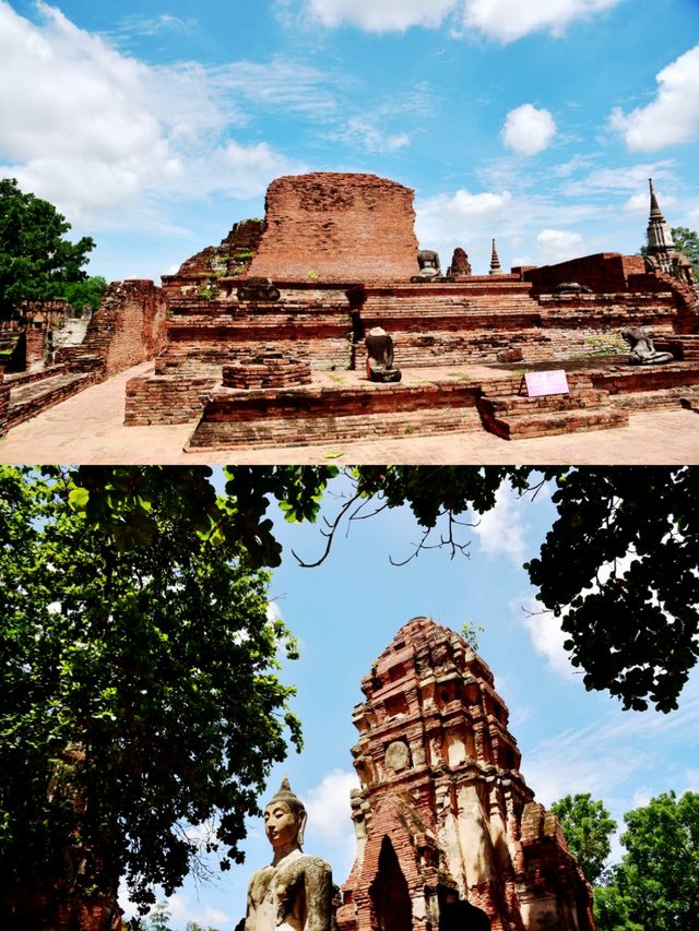 The tree embracing Buddha's head, one of the seven wonders of Thailand.