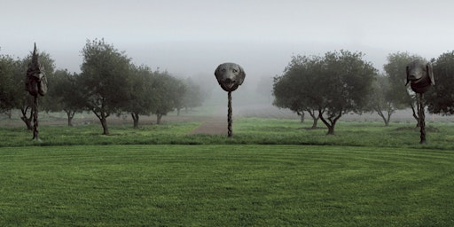 IAA Art Adventure: di Rosa tour + lunch @ MARKET: March 16 | 5200 Carneros Highway, Napa, CA 94559, USA