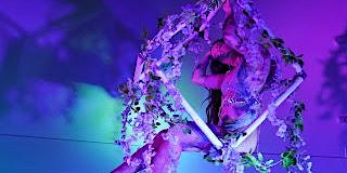 Enchanted: A Pole and Aerial Dinner Show | The Fit Factory, Johnson Avenue, Bohemia, NY, USA
