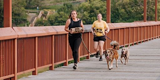 Zulu K9 Challenge Edmonton 2024 | Northeast River Valley Park