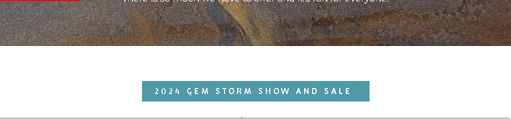 2024 年 GemStorm 展銷會 | 聖勞倫斯學院