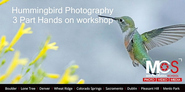 Hummingbird Photography  - 3 Part workshop | Denver Botanic Gardens Chatfield Farms