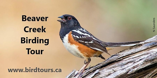 Beaver Creek Birding and Hiking Tour | Western Development Museum parking lot