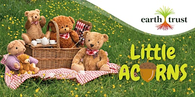 Little Acorns: Teddy Bears' Picnic | Earth Trust