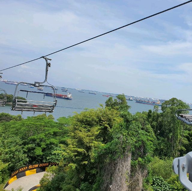 Skyline Luge
