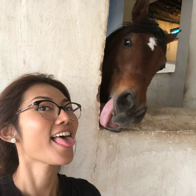 กาตาร์ ดินแดนทะเลทรายสู่ไข่มุกแห่งเปอร์เซีย🇶🇦