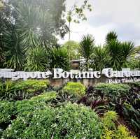 Singapore Botanic Gardens - Nature walk