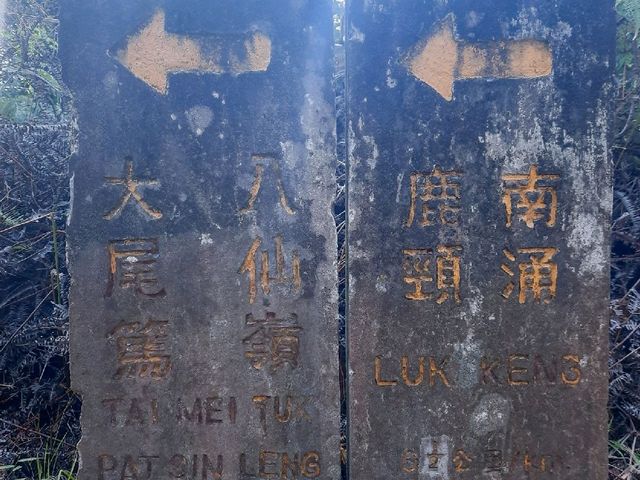 簡單靚景 - 鹿頸至大尾篤