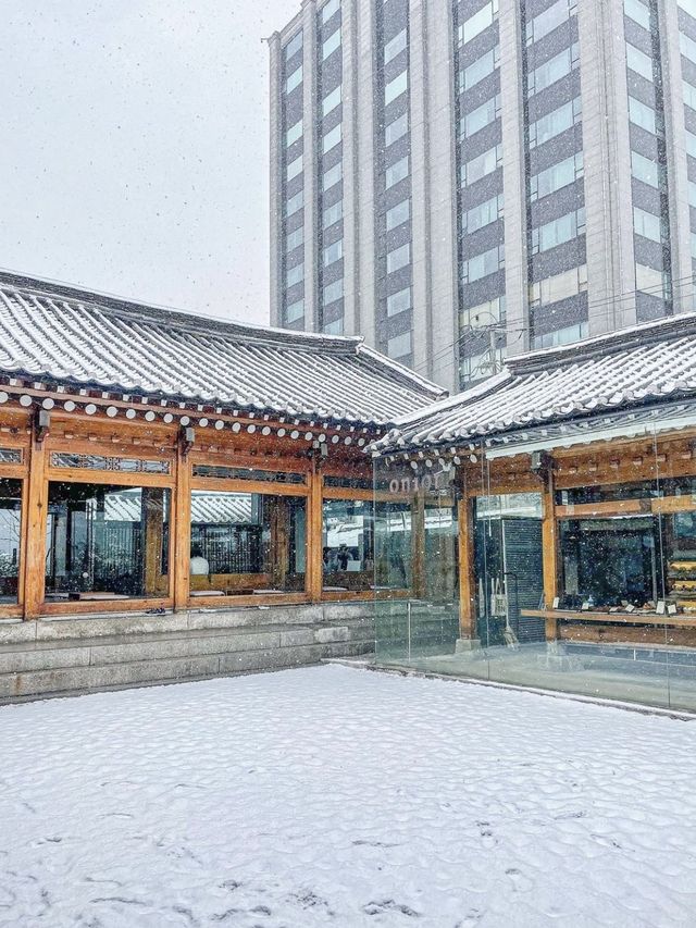 눈이 펑펑오는 날 서울의 모습 ❄️ 