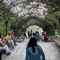 Holiday at Ba Na Hills