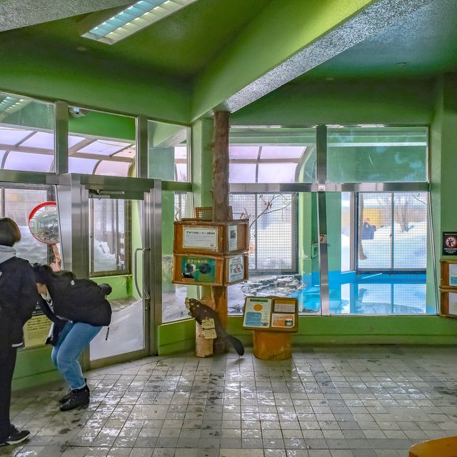 冬の円山動物園・ビーバー館
