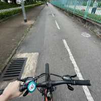 新界單車遊路線推介