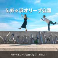 瀬戸内海に浮かぶ『直島』に行くならココ‼️7選！
