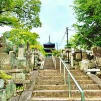 【京都】長い修行をされたアフロ大仏様