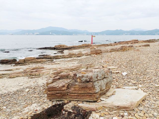 東平洲環島遊
