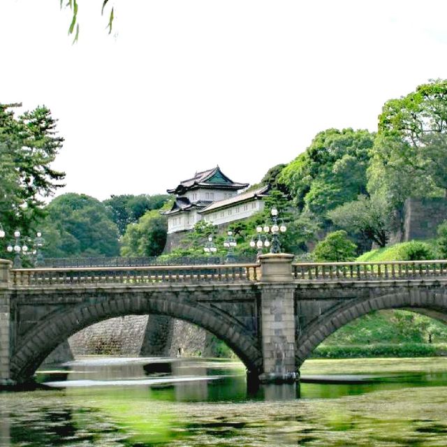 Edo Castle Ruins & Imperial Palace @Tokyo