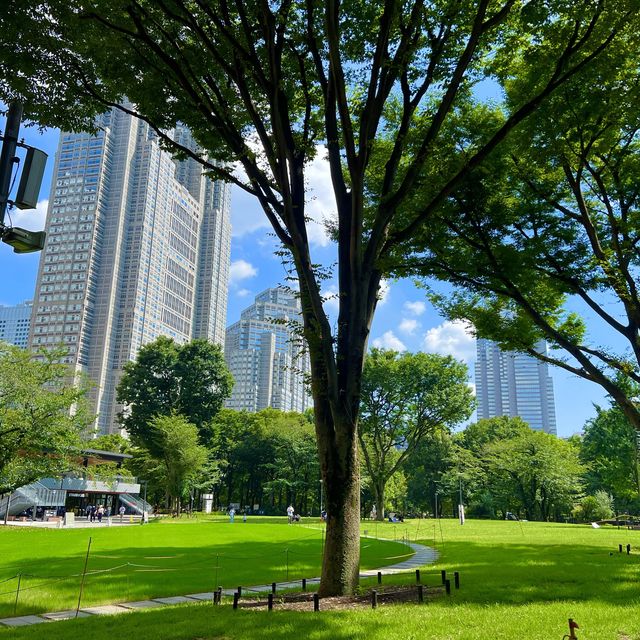 【新宿中央公園〜都会に広がる緑のオアシス〜】