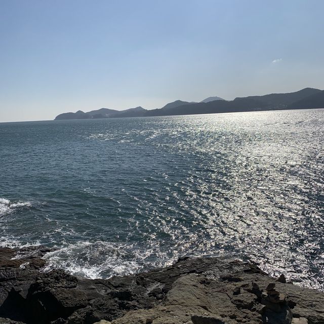 오동오동 떨며 구경했던 오동도🌺
