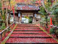 【京都】京都随一の紅葉スポット！毘沙門堂門跡をご紹介