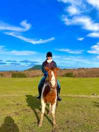 탁 트인 제주 자연에서, 색다른 경험을 하고싶다면?🐎 <뱅듸승마클럽>