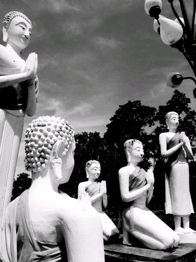 瑜伽人遊大城 Yogis in Ayutthaya