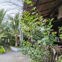 Paya Beach Resort, Pulau Tioman
