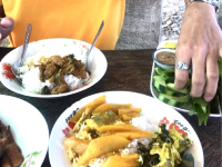 ข้าวแกงข้างทาง สายลงใต้ 🛣🍱