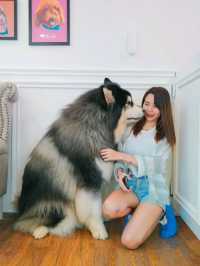 Husky House Cafe ชลบุรี