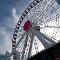 TAMAR PARK..