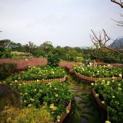 Manor Blanc User Photo