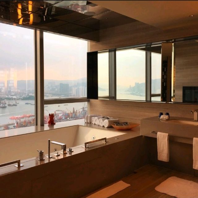 全香港最高游泳池W Hotel