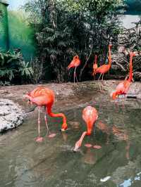 Texas State Aquarium