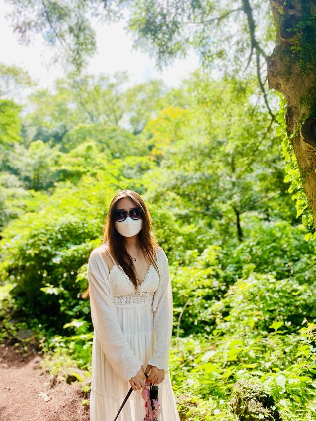 비오는 날 제주에서 비자림🌳 어때유?