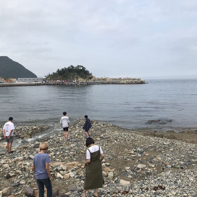 [경상남도] 싱싱한 해산물은 어디로? 맛집 천국 거제!