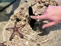 Underwater Theme Park, S.E.A Aquarium SG