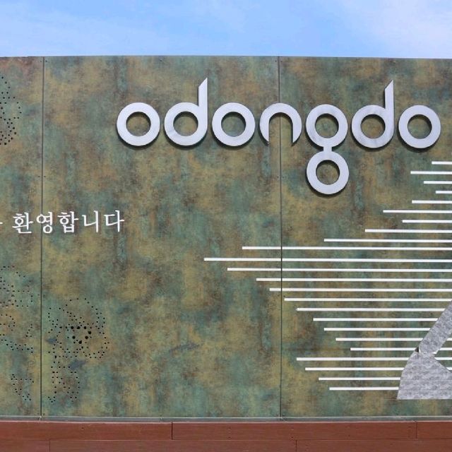 겨울에 더 인기 많은 동백의 섬, 오동도