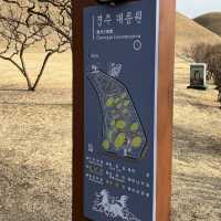 경주 포토존 여행코스 , 대릉원 