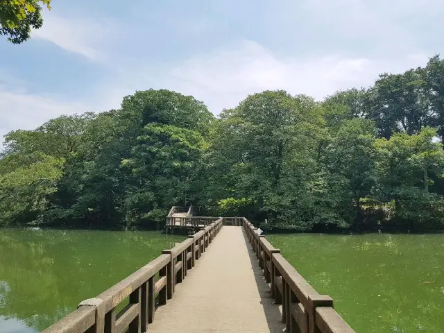 도쿄 이노카시라 공원