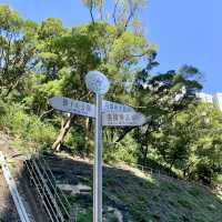 香港山系代表⋯獅子山