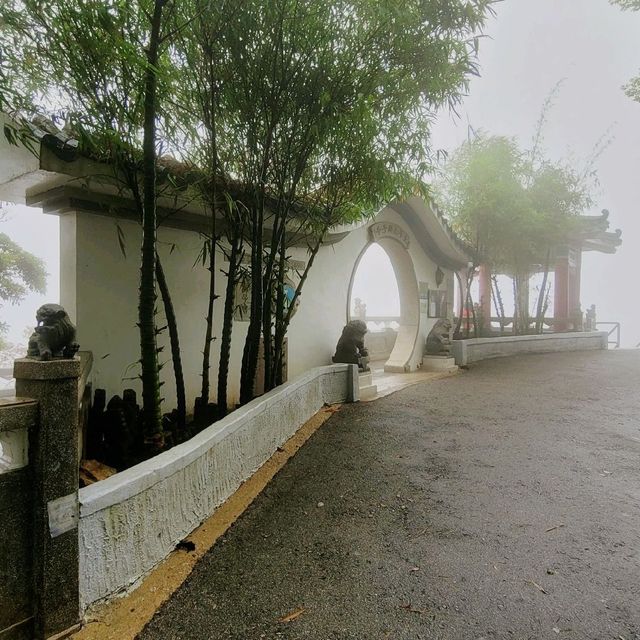 香港好去處 ～ 太平山的仙境 